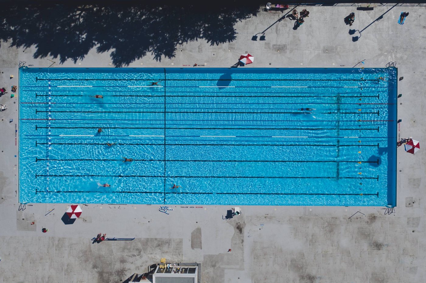 Aerial view of a resort lap pool with swimmers